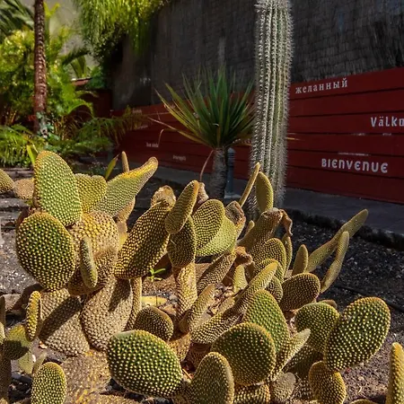 Semesterbostad El Rincon Del Huroncillo