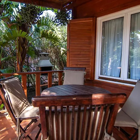 El Rincon Del Huroncillo * Tejina