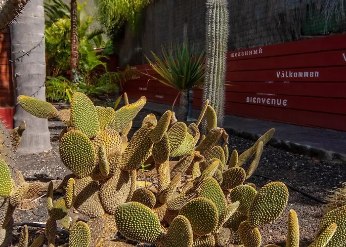 度假居 埃尔林孔德尔胡罗西洛酒店