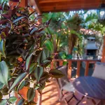Casa de Férias El Rincón Del Huroncillo *
