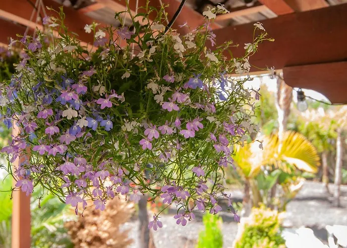 El Rincon Del Huroncillo *