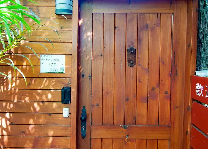 El Rincón Del Huroncillo Tejina